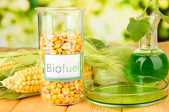Hayley Green biofuel availability